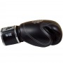 Raja Boxing RJB-P2 Боксерские Перчатки Тайский Бокс "Double Line" Черный
